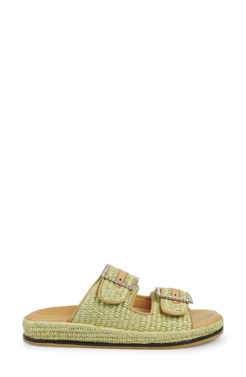 Zigi Artisan Reedie Two-strap Sandal In Green