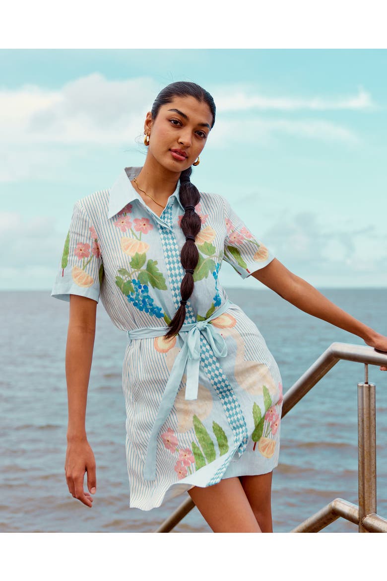 Swan Lake Mini Shirt Dress, Alternate, color, Light Blue