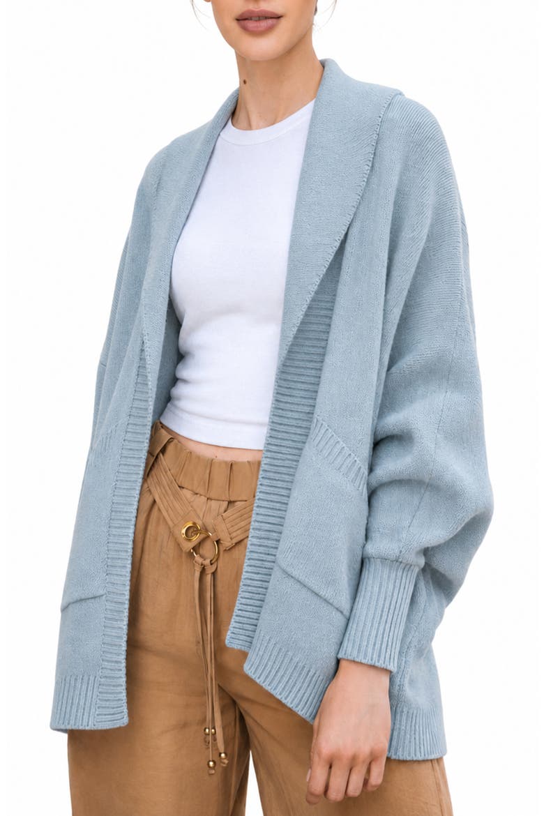 Oversize Ribbed Knit Cardigan, Main, color, LIGHT BLUE