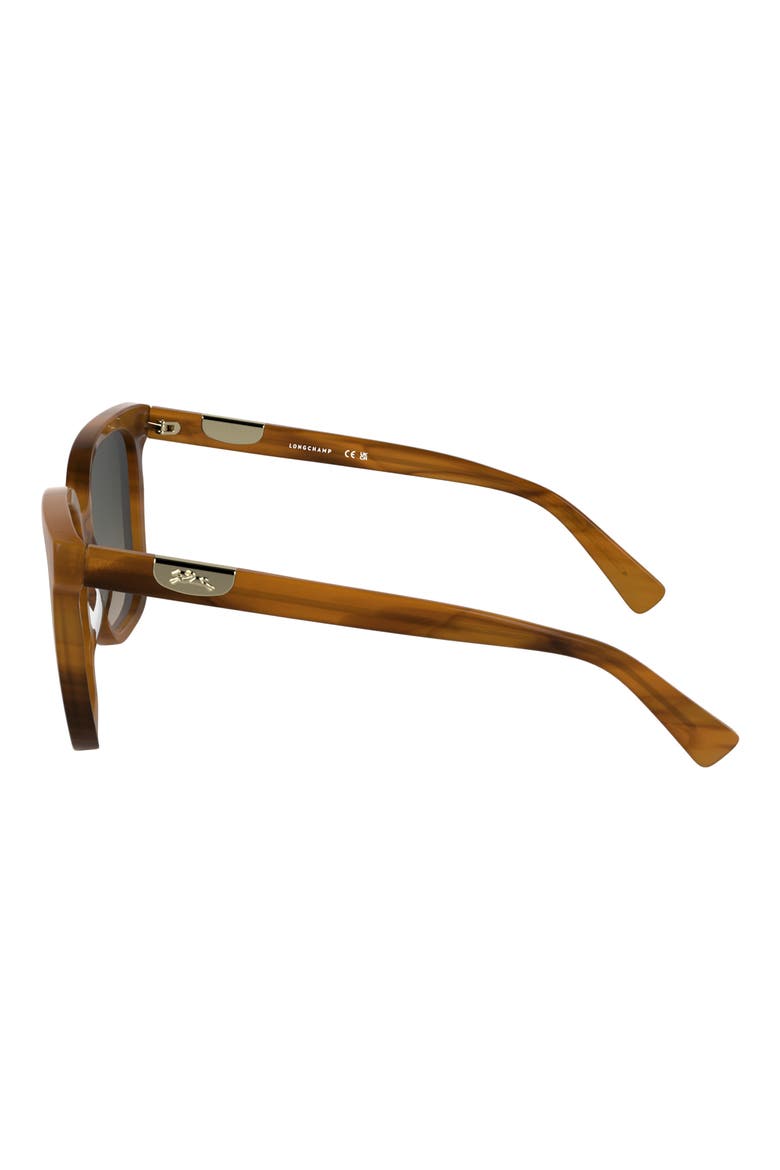 Le Pliage 55mm Gradient Butterfly Sunglasses, Alternate, color, STRIPED BROWN