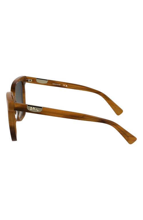 Longchamp Le Pliage 55mm Gradient Butterfly Sunglasses In Striped Brown