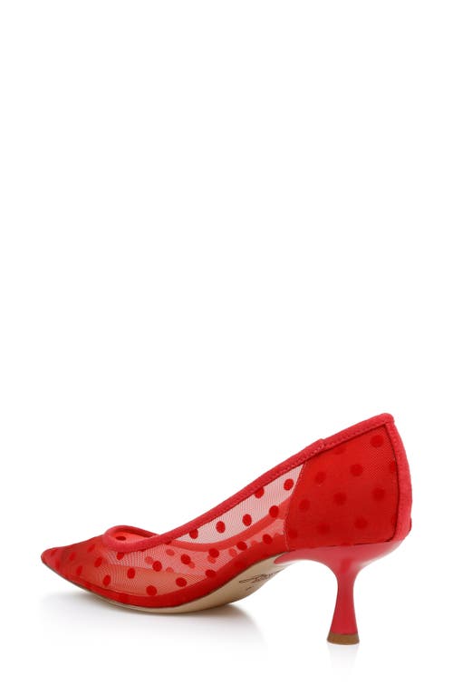 Jewel Badgley Mischka Elena Pointed Cap Toe Pump In Red