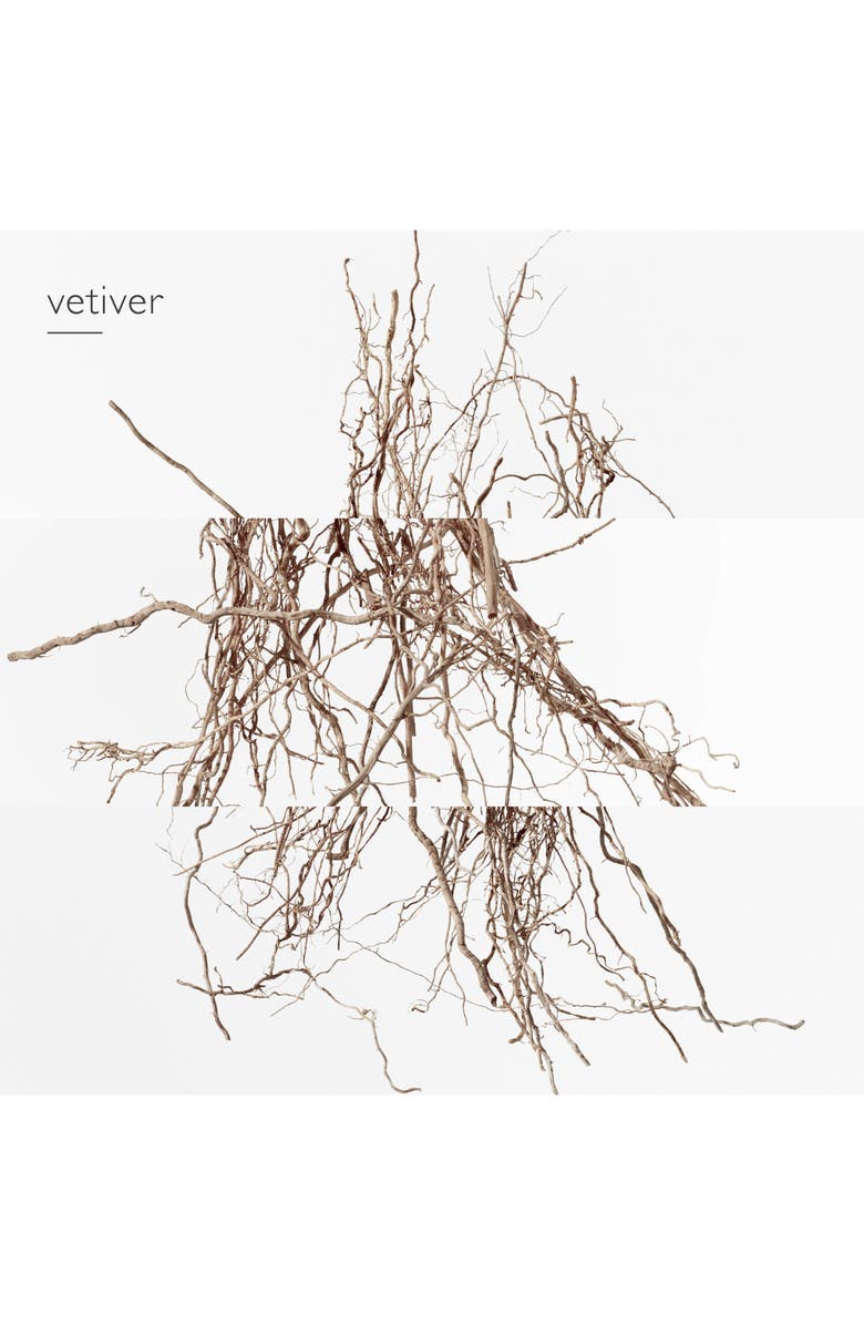 Hermès Concentré de Pamplemousse Rose - Eau de Toilette, Alternate, color,