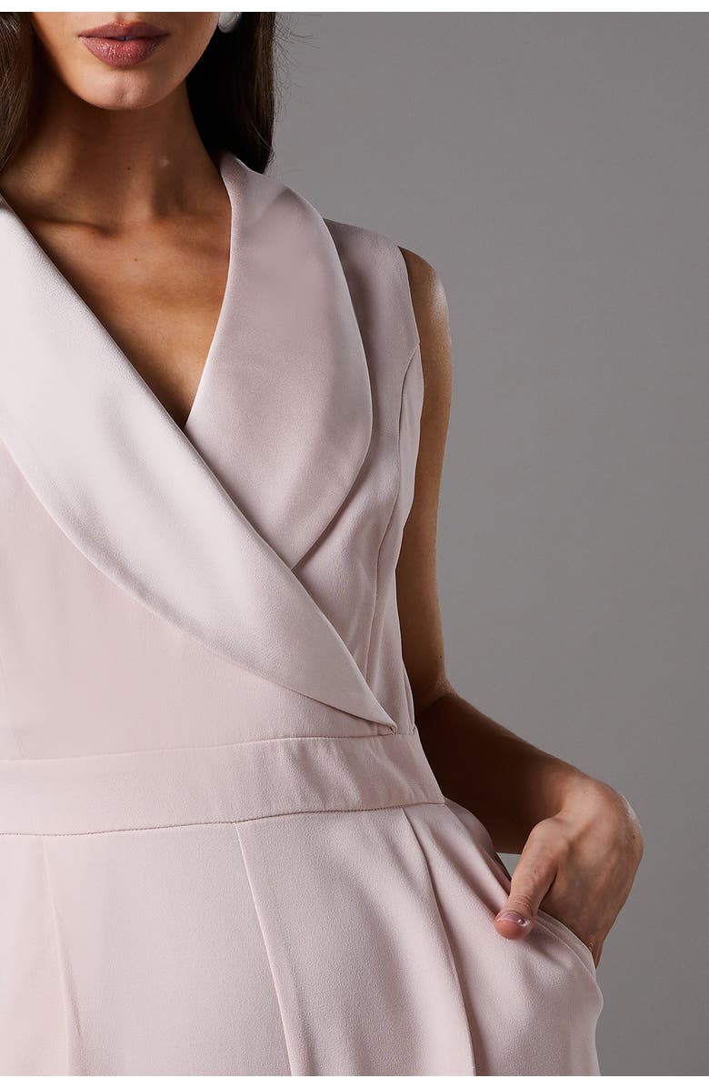 Coast Crepe V-Neck Wrap Wide Leg Jumpsuit, Alternate, color, Blush