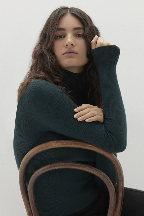 Naked Cashmere Rumer Fitted Cashmere Turtleneck In Green