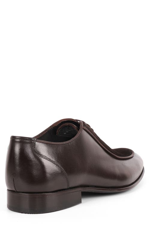 Vellapais Ovalo Oxford In Dark Brown