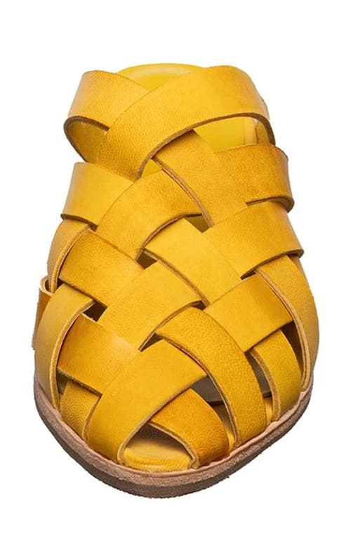 Antelope Grace Woven Mule In Yellow