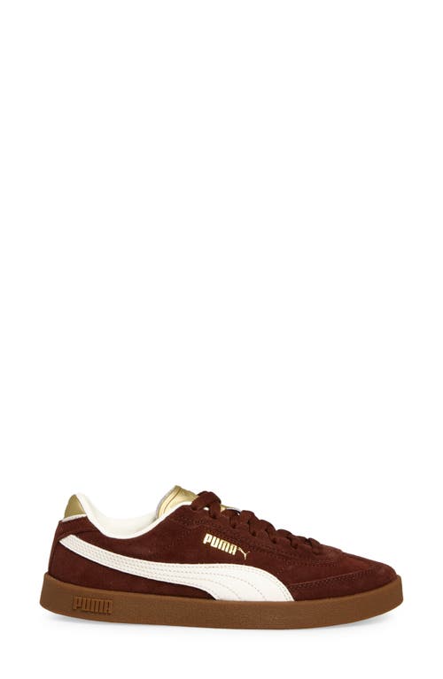 Puma Club Ii Era Sneaker In Brown