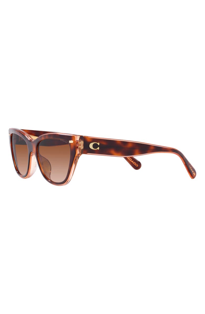 COACH 55mm Gradient Cat Eye Sunglasses, Alternate, color, Brown