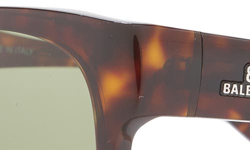 Balenciaga 56mm Square Sunglasses In Havana Green