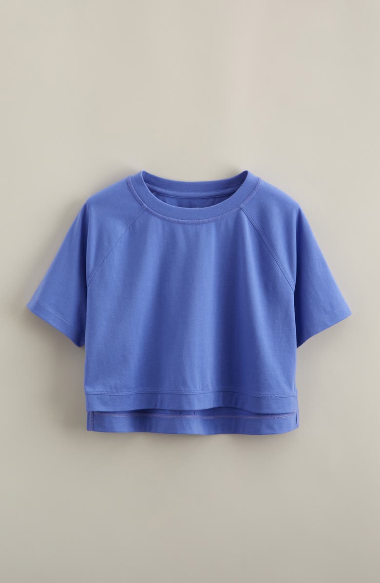 Zella Girl Kids' All Star Crop T-Shirt, Main, color, Purple Baja