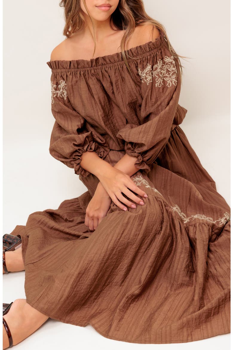 Embroidered Maxi Skirt, Alternate, color, BROWN