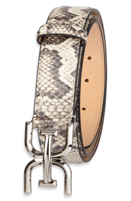 Shop Sam Edelman Logo Buckle Belt In Grey Snake