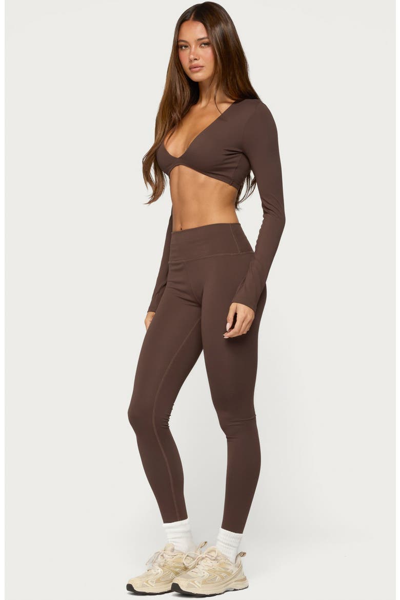 Faery Long Sleeve Crop Top, Alternate, color, BROWN