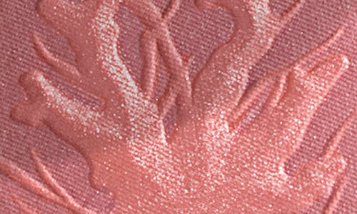 Chantecaille Philanthropy Cheek Shade Blush