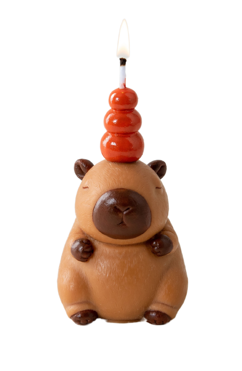 Southlake gifts Capybara Scented Aromatherapy Candle, Alternate, color, NO COLOR