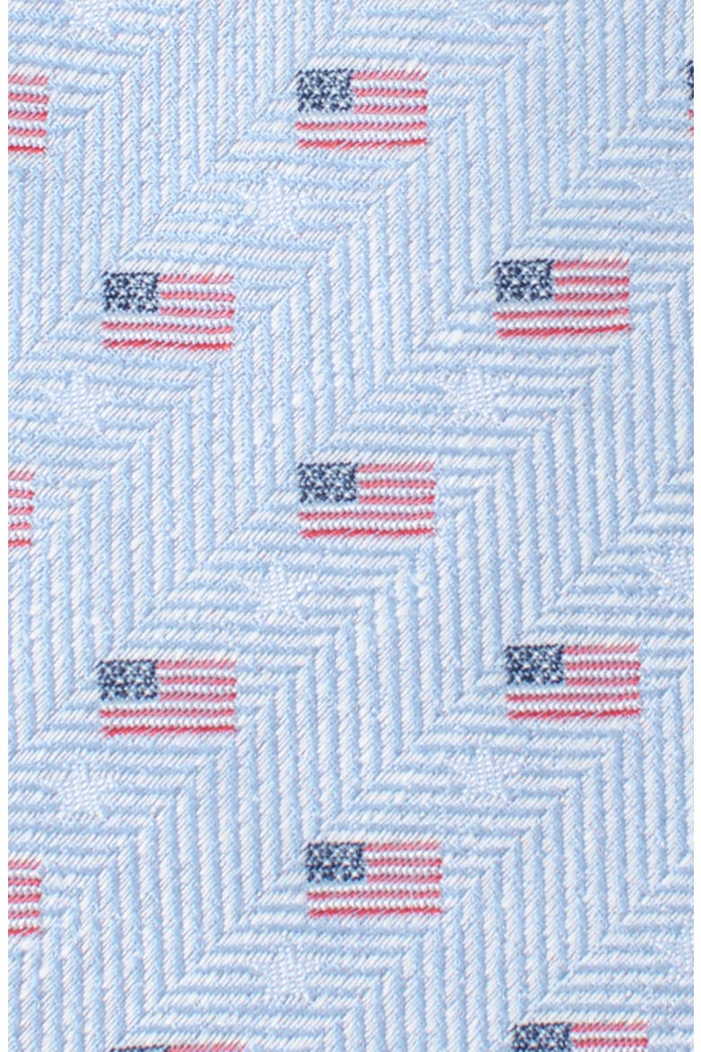 American Flag Cotton Tie, Alternate, color, BLUE