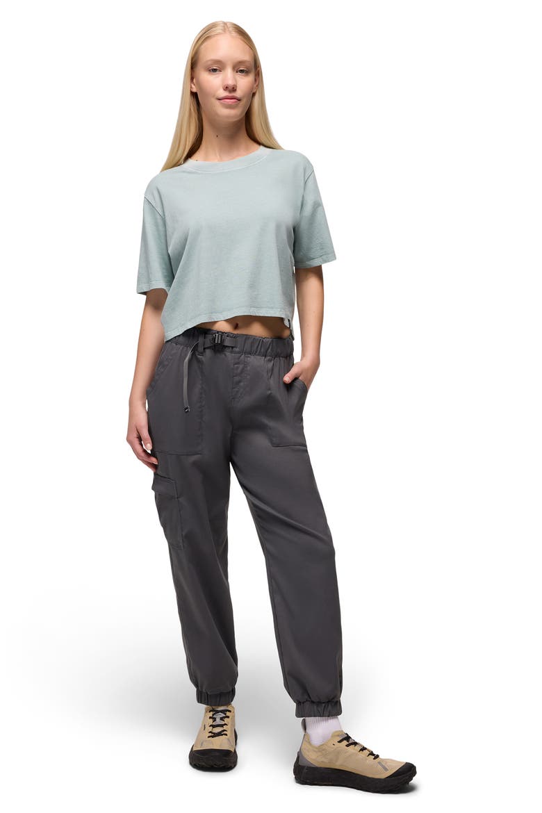 Stretch Zion™ Elastic Waist Joggers, Alternate, color, SHADOW