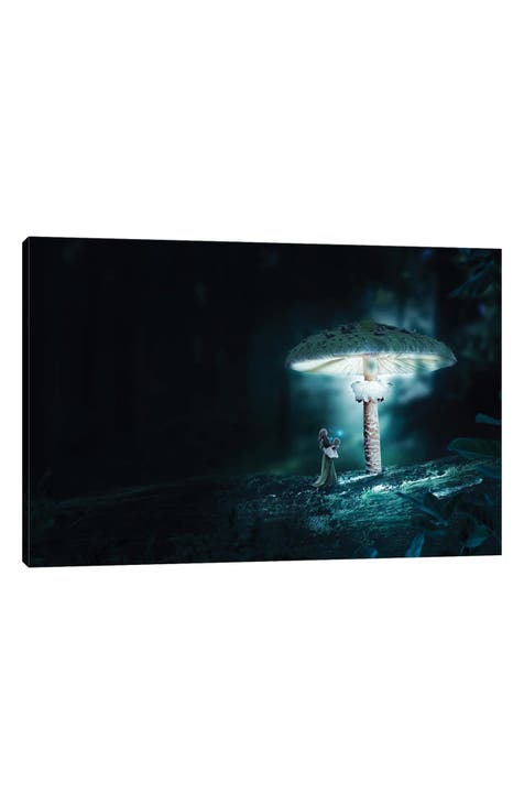 Mushrooms by Milos Karanovic Canvas Wall Art