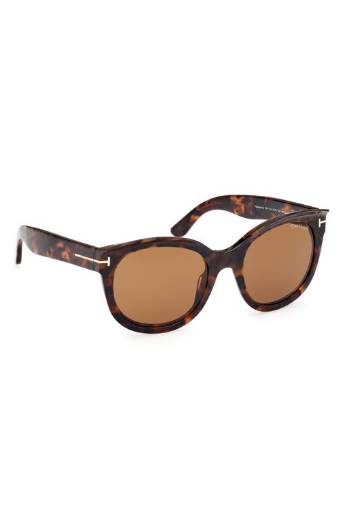 Tom Ford Tamara 54mm Round Sunglasses In Dark Havana/brown