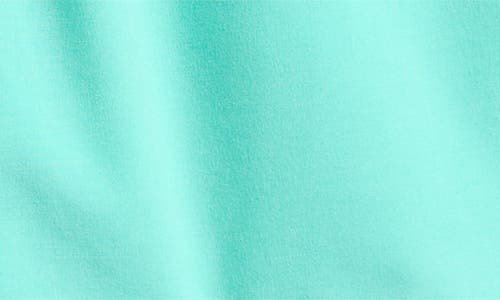 Vintage Summer Volley Swim Trunks