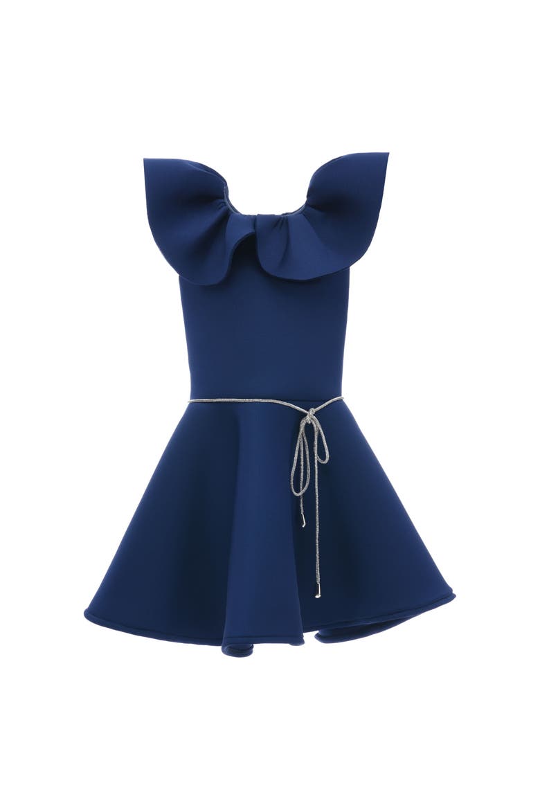 Iris Dress, Main, color, Navy
