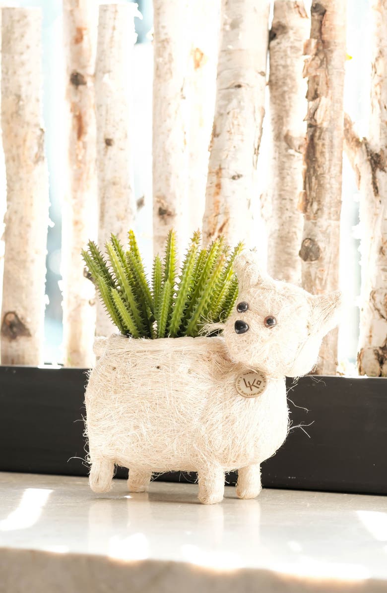 LIKHA Baby Cat Handwoven Planter, Alternate, color,