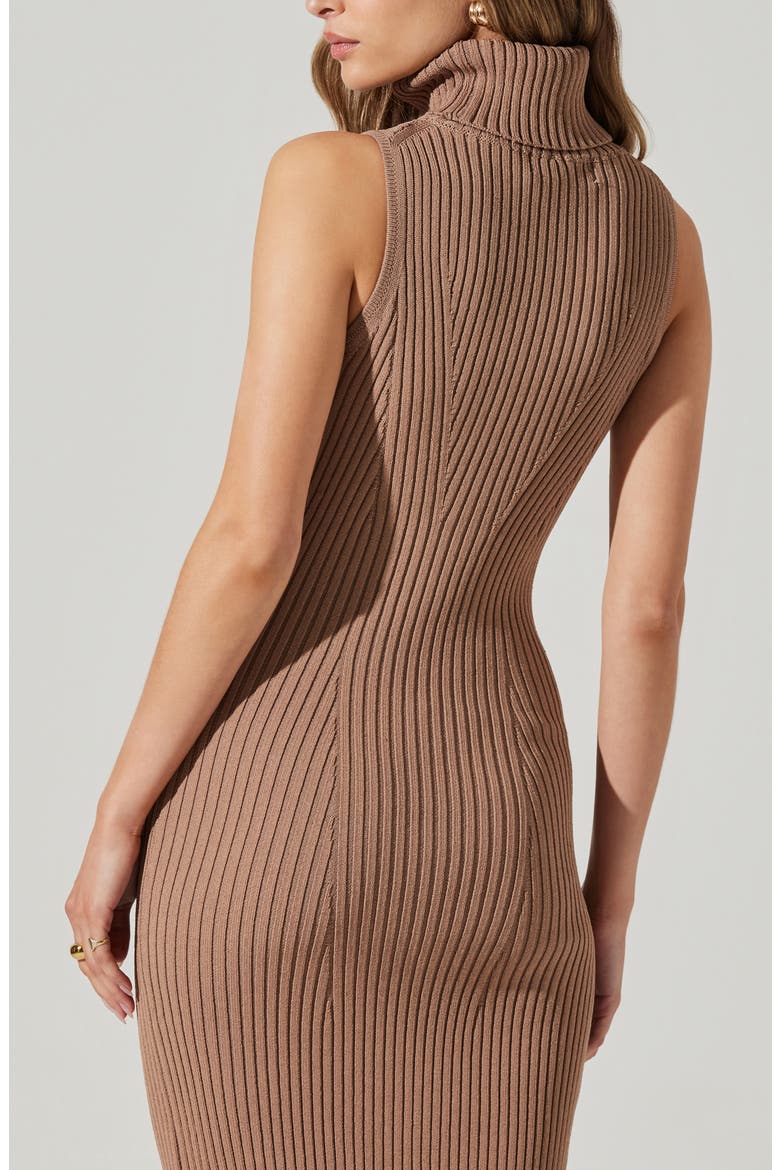 Channary Rib Midi Sweater Dress, Alternate, color, CHESTNUT