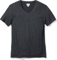 Petite Plume Crewneck Pima Cotton Pajama T-Shirt