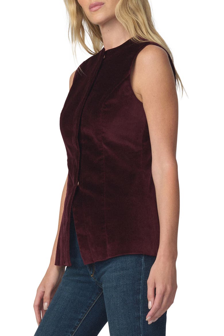 The Velveteen Sleeveless Tunic Top, Alternate, color, CABERNET