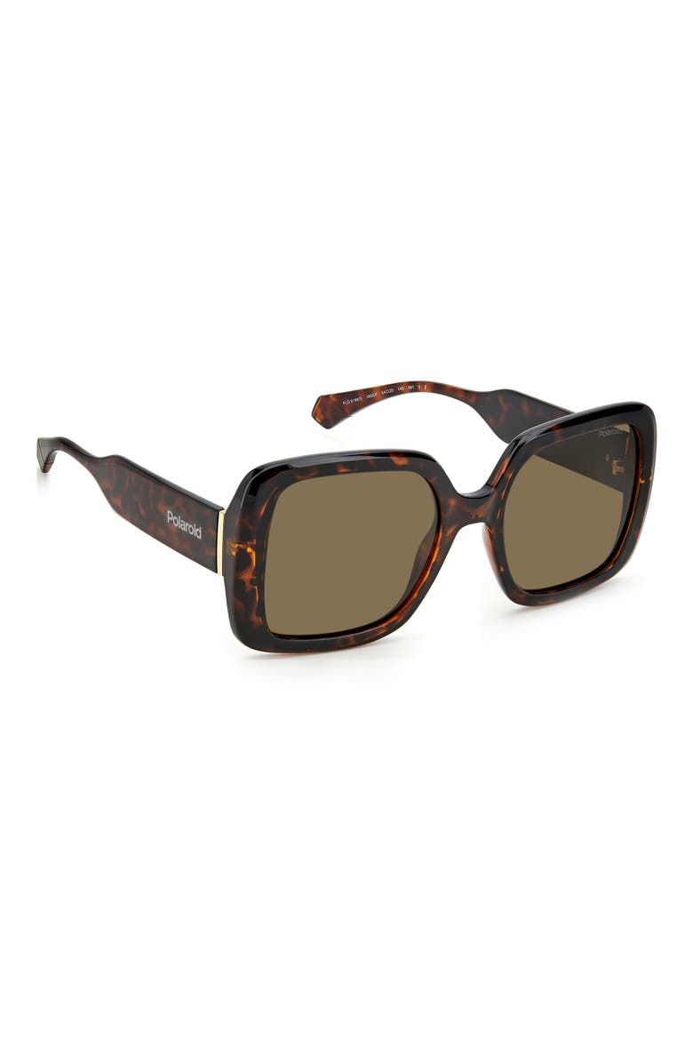 54mm Polarized Square Sunglasses, Alternate, color, HAVANA / BRONZE POLAR