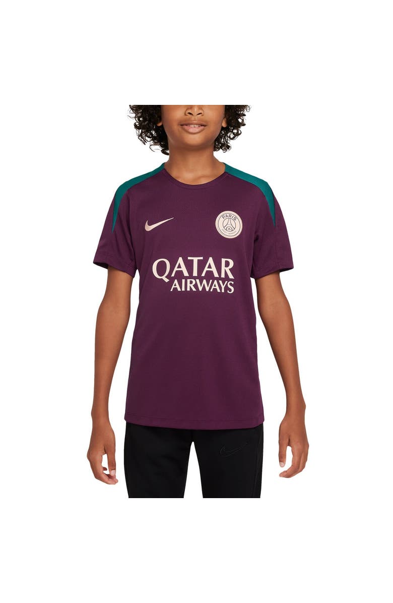 Nike Youth Nike Burgundy Paris Saint-Germain 2024/25 Strike Training Performance Top, Alternate, color, Burgundy