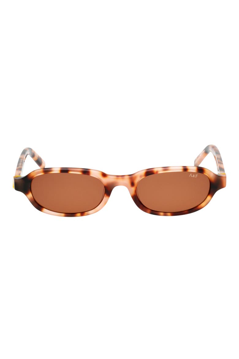 50mm Oval Sunglasses, Main, color, COLOURED HAVANA / BROWN
