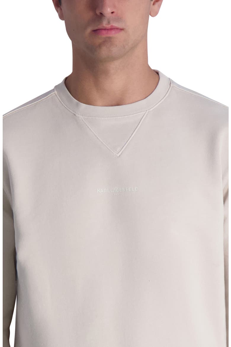 Crewneck Sweatshirt, Alternate, color, NATURAL