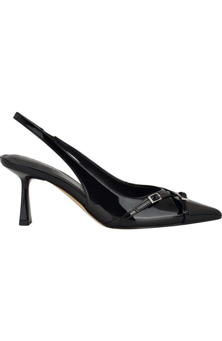 Calvin Klein Tulissa 2 Pointed Toe Slingback Pump, Alternate, color, Black