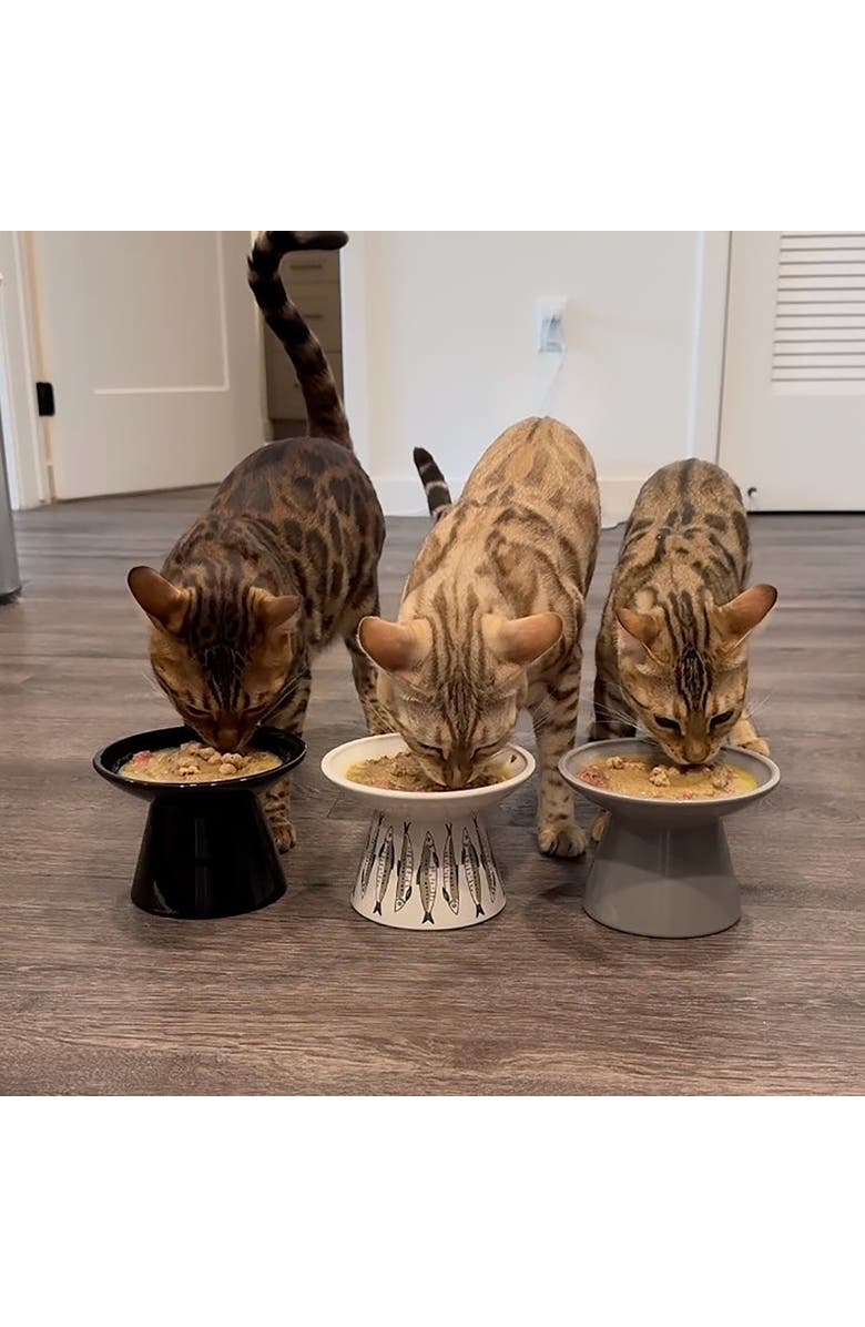 Dexypaws Flat Top Ceramic Cat Bowl, Grey, 7.5oz, Alternate, color, Gray