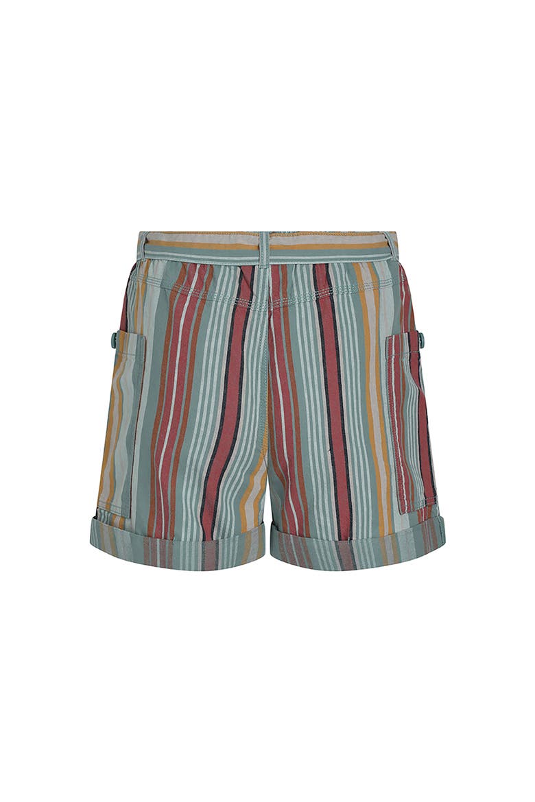 Wilder Striped Summer Shorts, Alternate, color, Multi