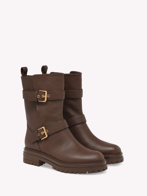 Gianvito Rossi Thiago Biker In Brown