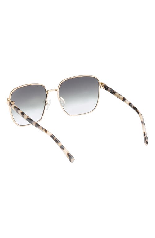 Abercrombie & Fitch 58mm Square Sunglasses In Gray