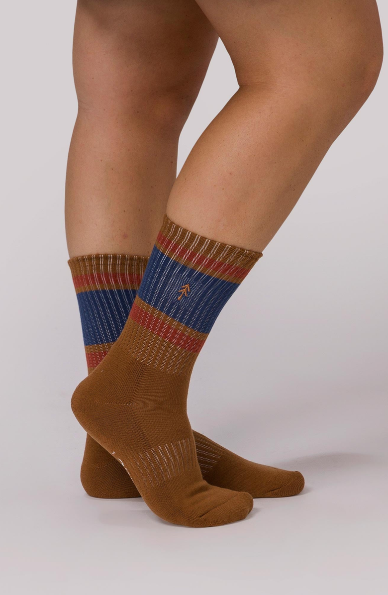 Parks Project Trail Crew Tube Sock 2 Pack, Alternate, color, Brown And Natural