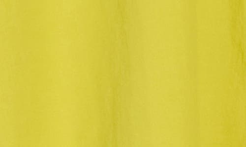 Eileen Fisher Classic Collar Shirt In Citron