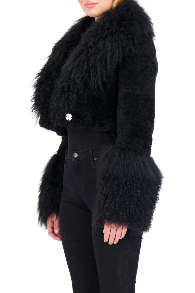 Sheared Genuine Shearling Bolero With Genuine Shearling Collar & Cuffs, Alternate, color, BLACK