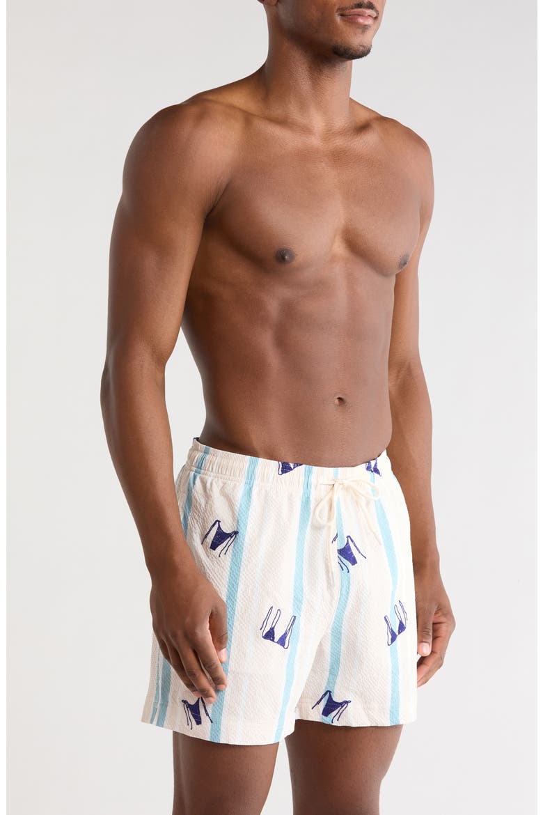 Bikini Embroidered Stripe Swim Trunks, Alternate, color, GREEN/ WHITE