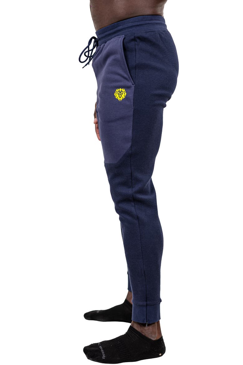 Drawstring Joggers, Alternate, color, BLUE