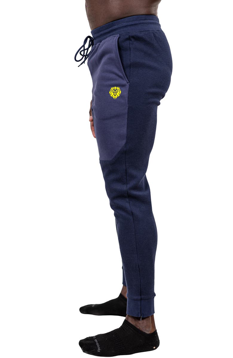 Maceoo Drawstring Joggers, Alternate, color, Blue