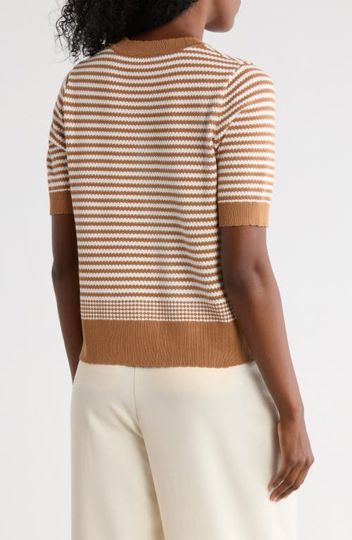Adrianna Papell Stripe Short Sleeve Sweater In Brown