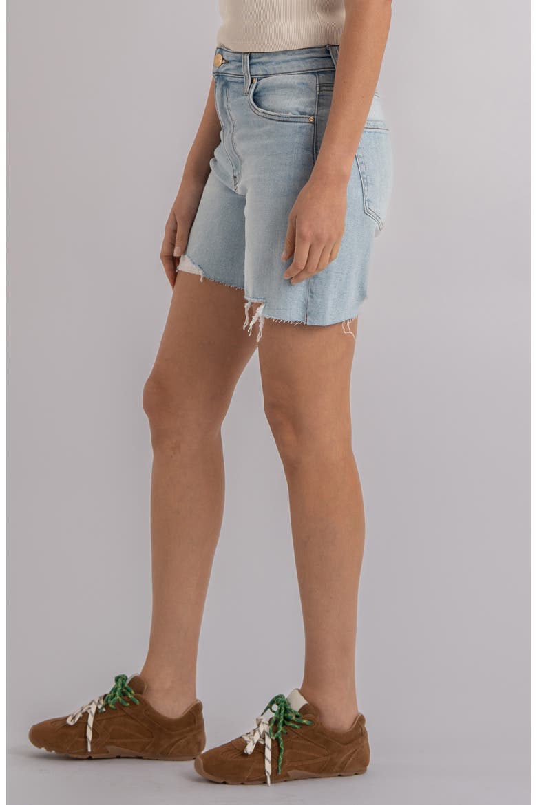 Jenny High Waist Cutoff Denim Shorts, Alternate, color, OPENNESS