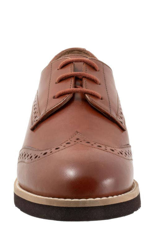 Softwalk ® Willet Wingtip Derby In Luggage