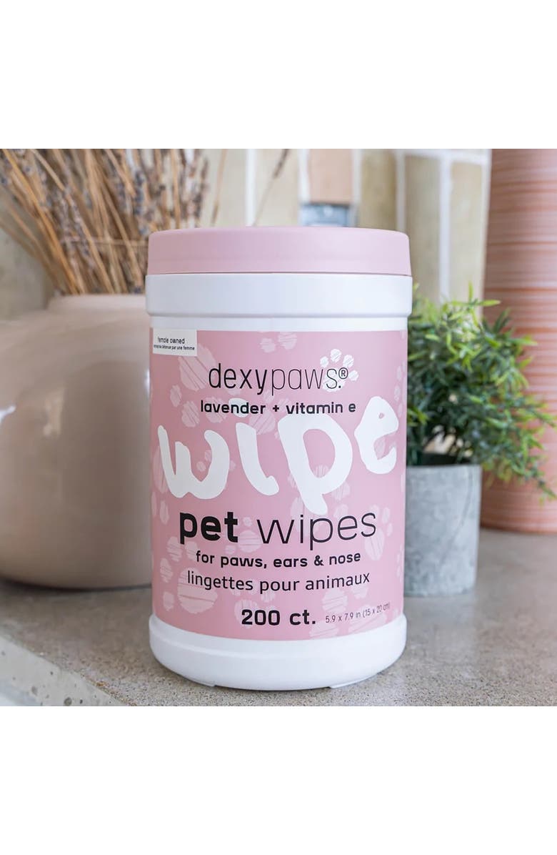 Dexypaws Pet Wipes 200Ct Canister For Grooming Care, Alternate, color, White
