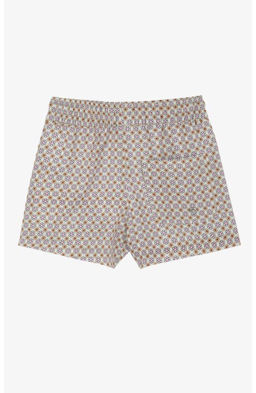 Gottex Kids Vacation Mode Boys Swim Shorts In Brown